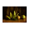 Trademark Fine Art Mandy Disher 'Pears Still' Canvas Art, 16x24 1X10330-C1624GG